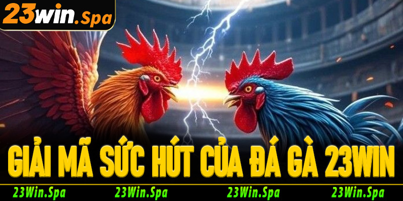 Giải mã sức hút của đá gà 23Win đấu trường đỉnh cao