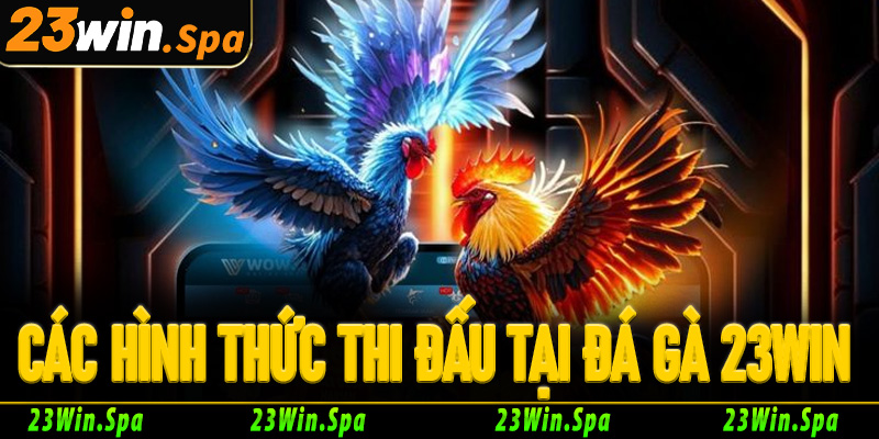 Các hình thức thi đấu hấp dẫn tại đá gà 23Win