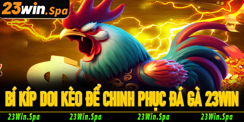 Bí kíp soi kèo từ cao thủ chinh phục đấu trường đá gà 23Win